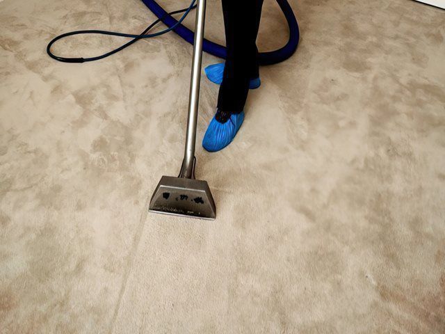 Catpet Cleaning